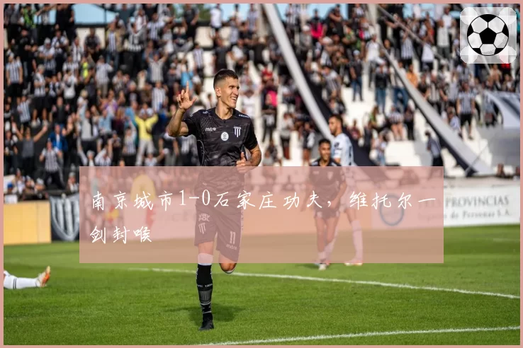 南京城市1-0石家庄功夫,维托尔一剑封喉