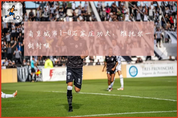南京城市1-0石家庄功夫,维托尔一剑封喉