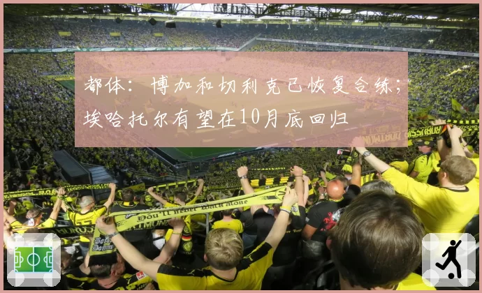 都体：博加和切利克已恢复合练；埃哈托尔有望在10月底回归